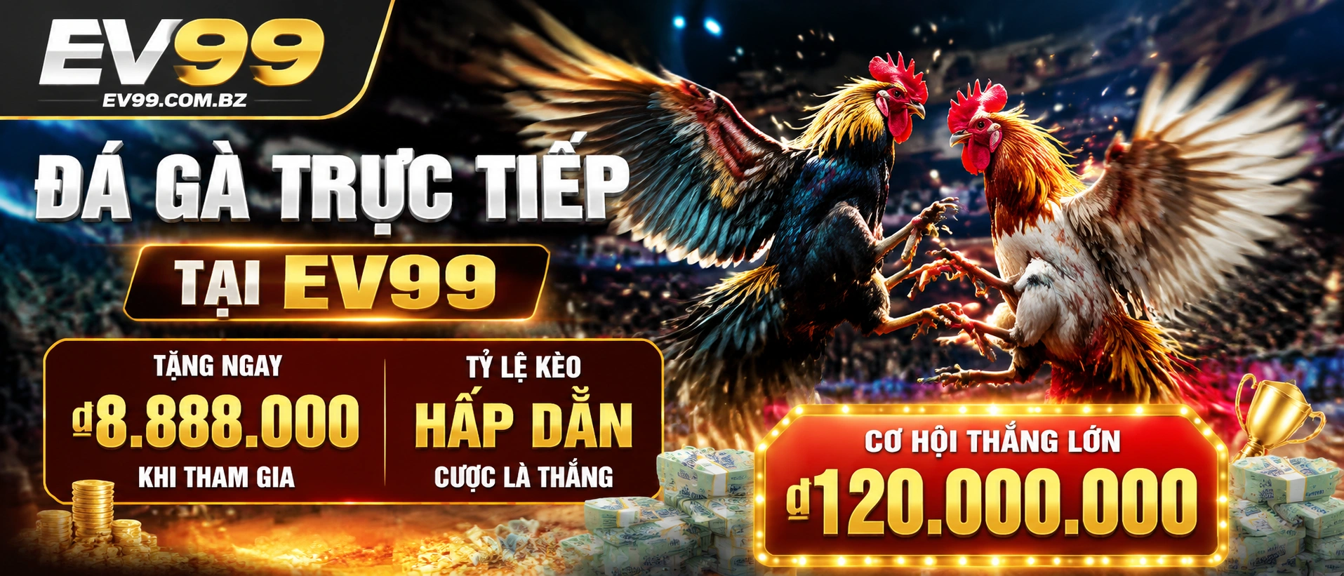 ev99 poker banner 3